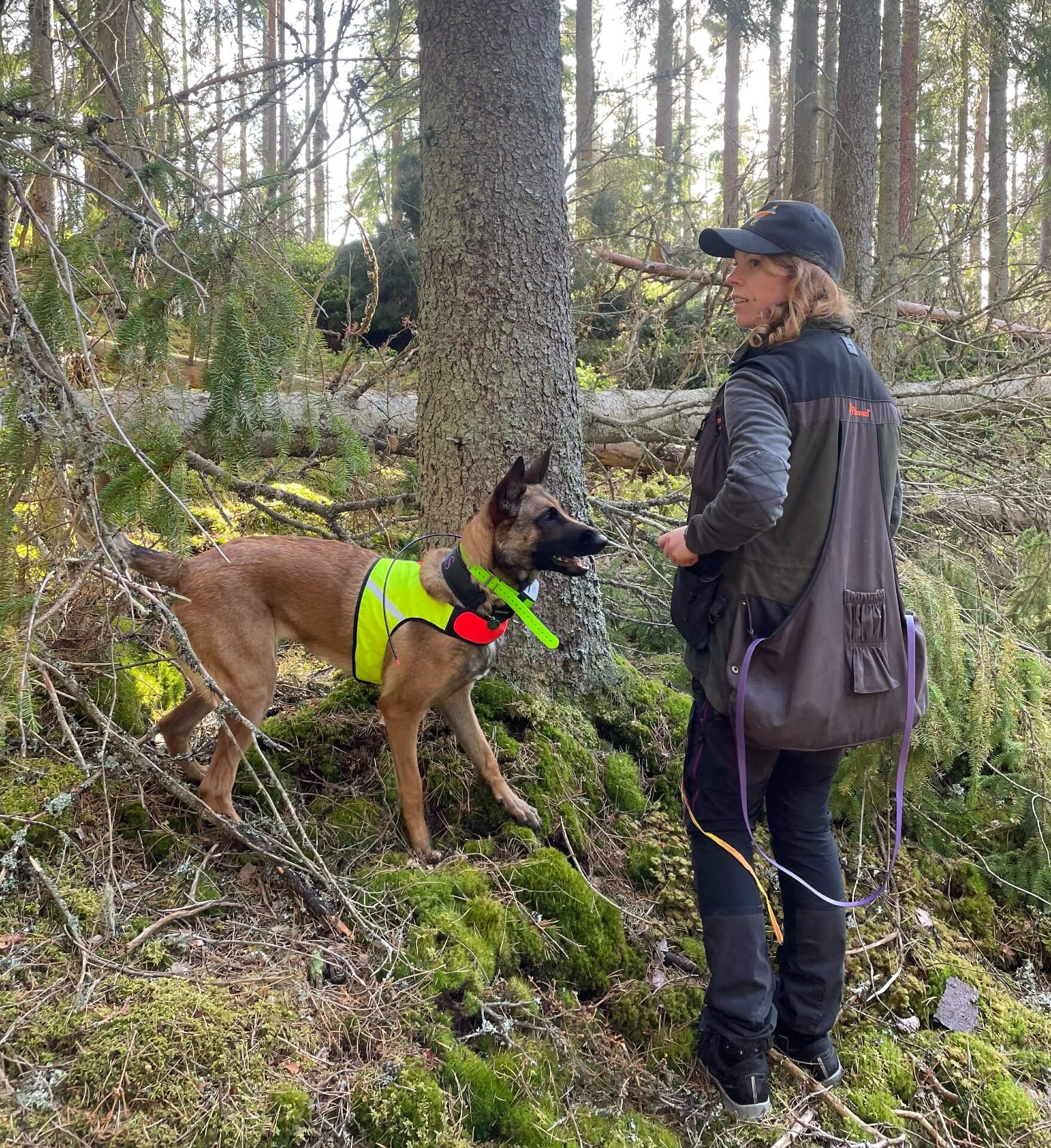 Barkborresök med hund